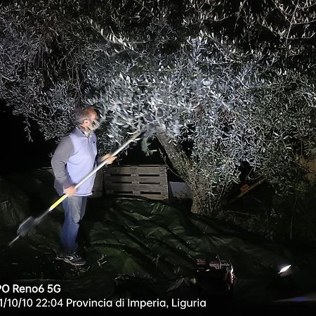 Agriturismo Monaci Templari Seborga Eksteriør bilde