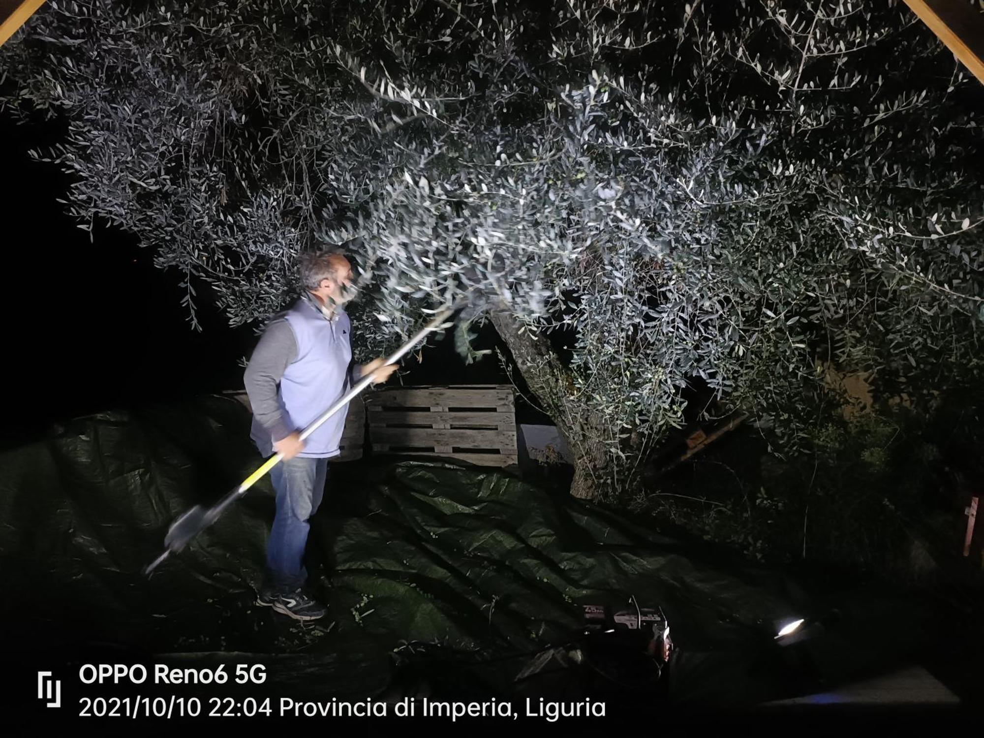 Agriturismo Monaci Templari Seborga Eksteriør bilde