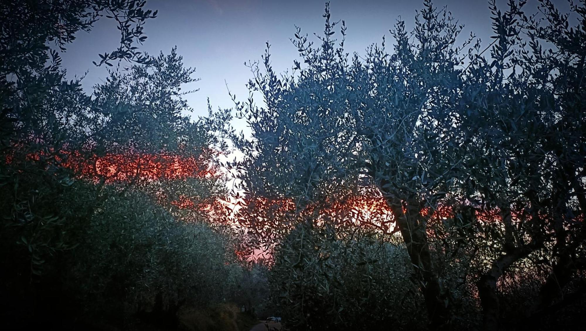 Agriturismo Monaci Templari Seborga Eksteriør bilde