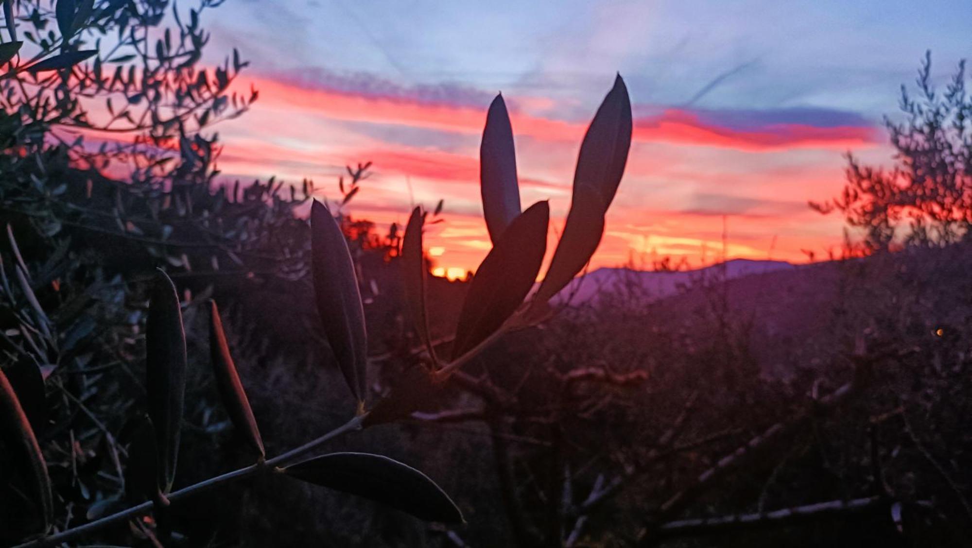 Agriturismo Monaci Templari Seborga Eksteriør bilde